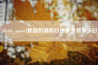 林州我国的消防日是多少月多少日