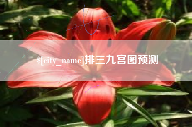 林州排三九宫图预测