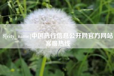 林州中国执行信息公开网官方网站客服热线