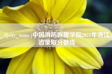 林州中国消防救援学院2021年浙江省录取分数线