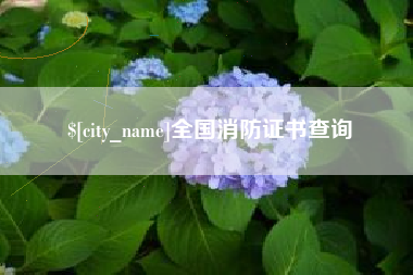 林州全国消防证书查询