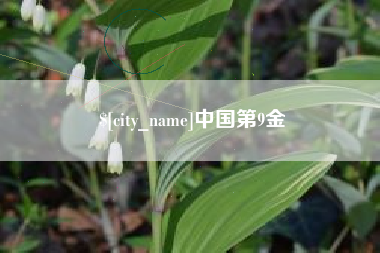 林州中国第9金