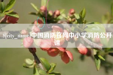 林州中国消防官网中小学消防公开课