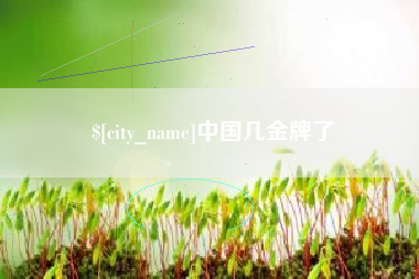 林州中国几金牌了