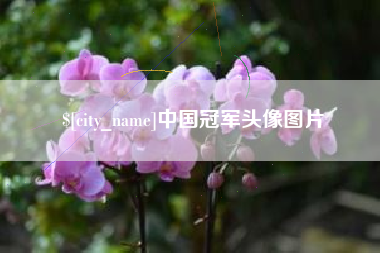 林州中国冠军头像图片