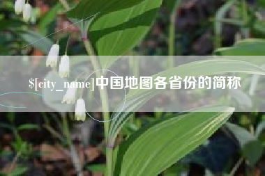 林州中国地图各省份的简称