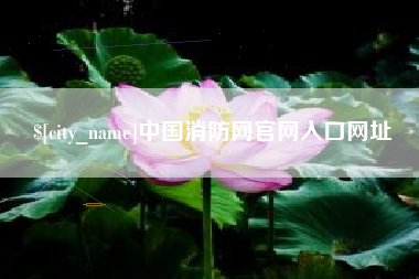 林州中国消防网官网入口网址