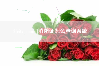 林州消防证怎么查询系统
