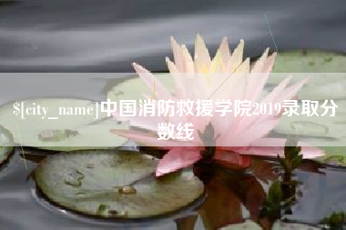 林州中国消防救援学院2019录取分数线