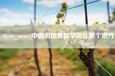 林州中国消防救援学院在那个地方