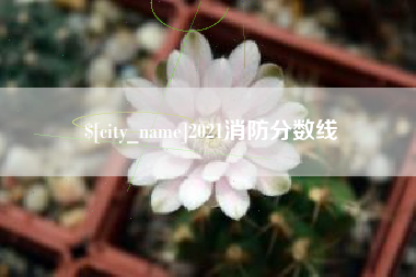 林州2021消防分数线