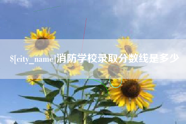 林州消防学校录取分数线是多少