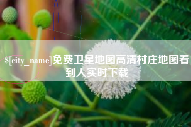 林州免费卫星地图高清村庄地图看到人实时下载