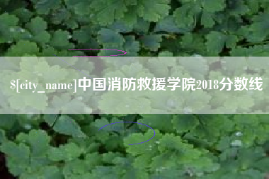 林州中国消防救援学院2018分数线