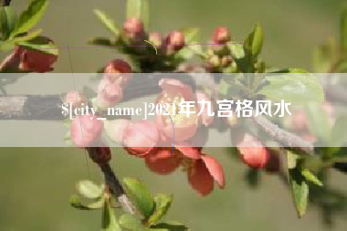 林州2021年九宫格风水
