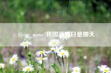 林州我国消防日是哪天