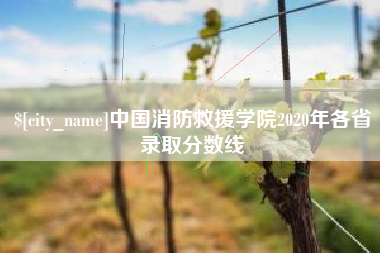 林州中国消防救援学院2020年各省录取分数线