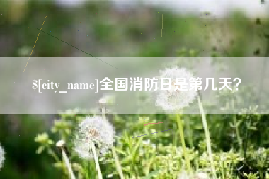 林州全国消防日是第几天？