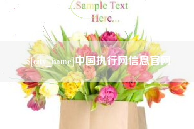 林州中国执行网信息官网