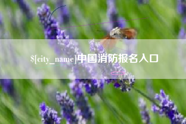 林州中国消防报名入口