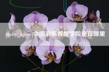林州中国消防救援学院是在哪里