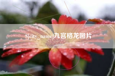 林州九宫格龙图片