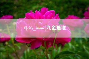 林州九金是谁