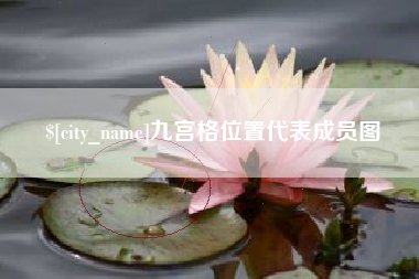 林州九宫格位置代表成员图