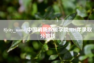 林州中国消防救援学院2019年录取分数线