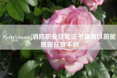 林州消防职业技能证书查询以前能查现在查不到
