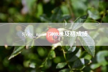 林州5000米及格成绩