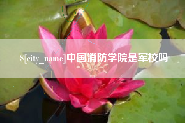 林州中国消防学院是军校吗