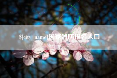 林州国家消防报名入口