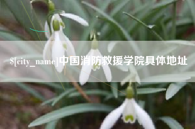 林州中国消防救援学院具体地址