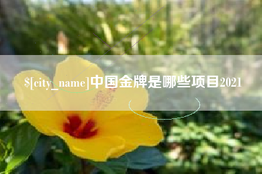 林州中国金牌是哪些项目2021