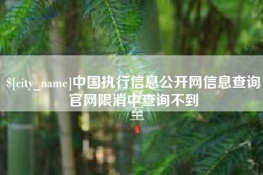 林州中国执行信息公开网信息查询官网限消中查询不到