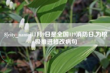林州11月9日是全国119消防日,为积极推进修改病句
