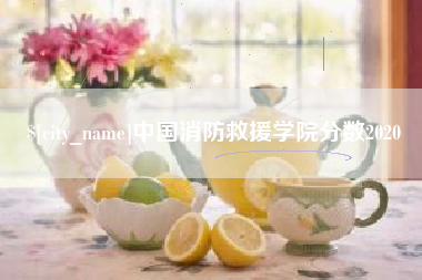 林州中国消防救援学院分数2020