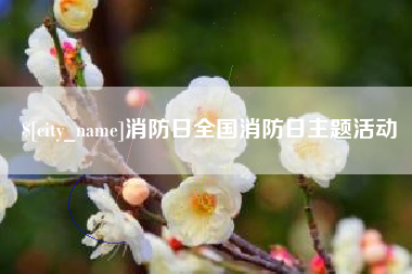 林州消防日全国消防日主题活动