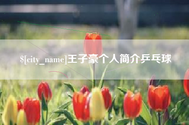 林州王子豪个人简介乒乓球