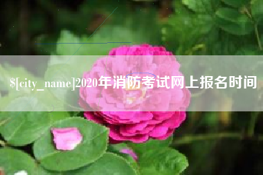 林州2020年消防考试网上报名时间