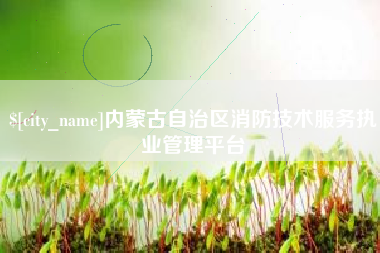 林州内蒙古自治区消防技术服务执业管理平台