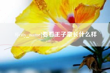 林州看看王子豪长什么样