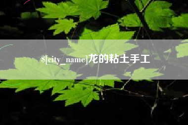 林州龙的粘土手工