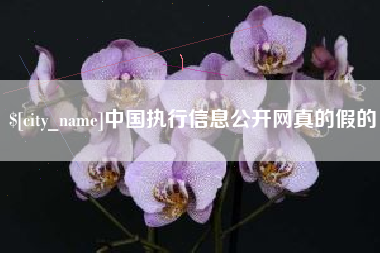 林州中国执行信息公开网真的假的