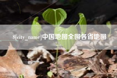 林州中国地图全图各省地图