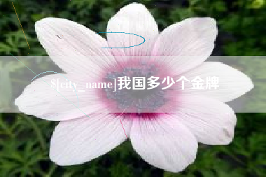 林州我国多少个金牌