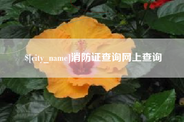 林州消防证查询网上查询