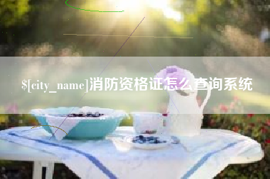 林州消防资格证怎么查询系统