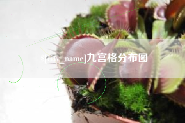 林州九宫格分布图